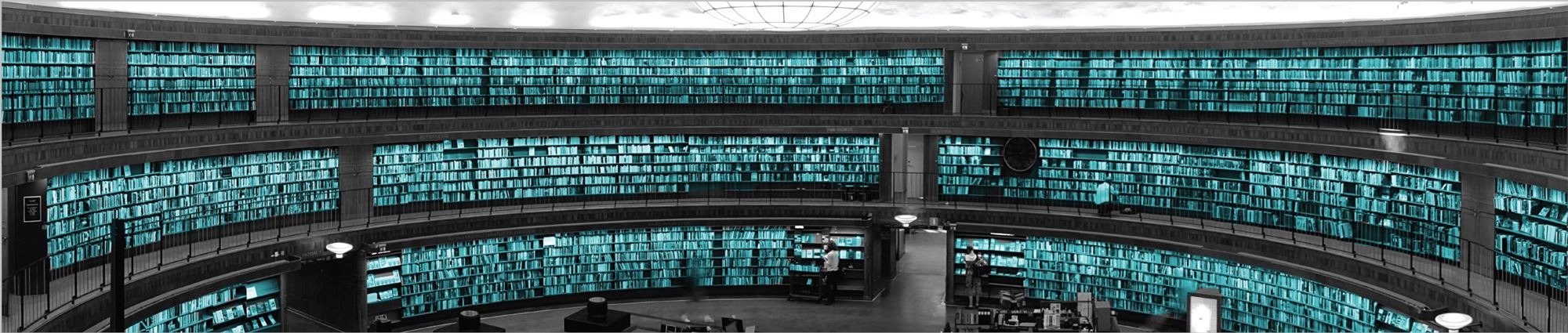 Knowledge Hub